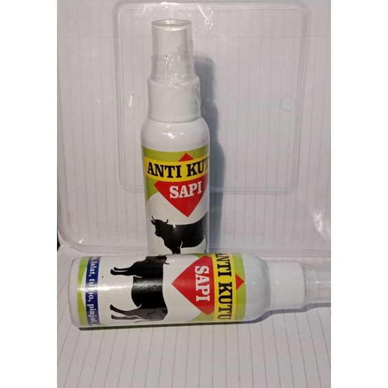 ANTI KUTU SAPI