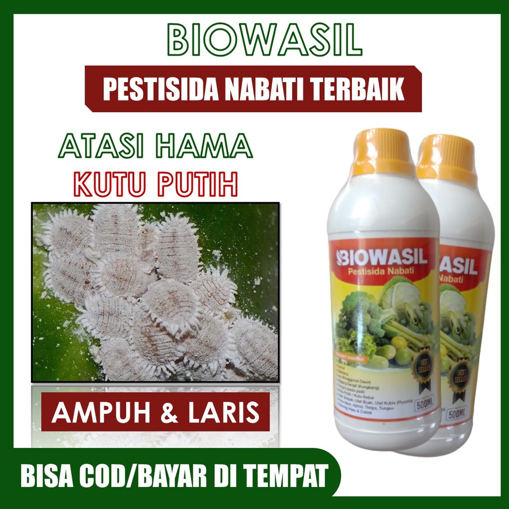 (ASLI MURAH) Pestisida Nabati terbaik BIOWASIL 500 ML Untuk Hama Kutu Putih – Insektisida Hama Kutu 