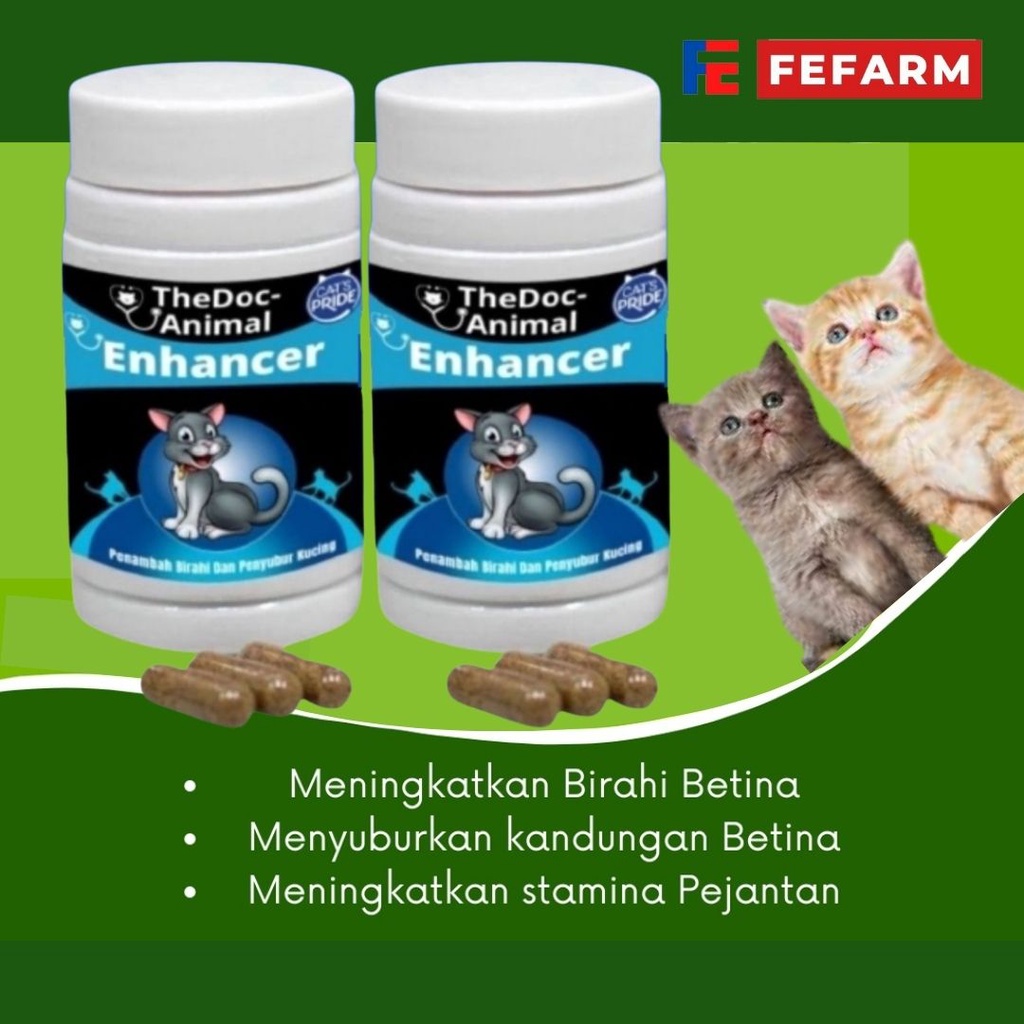 Obat Suplemen Birahi dan Penyubur Kucing Betina dan Jantan FEFARM