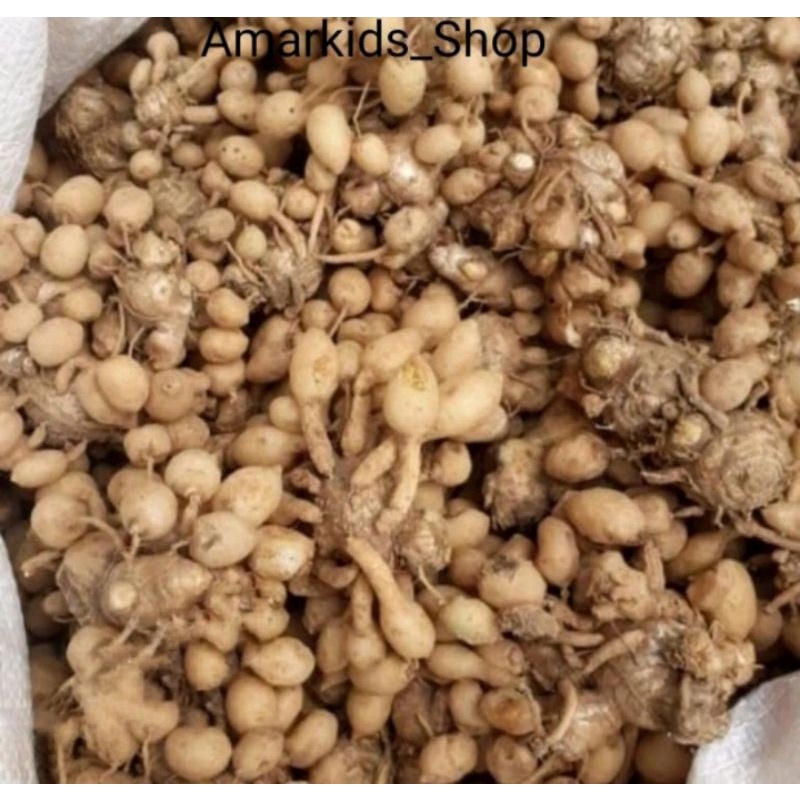 

Kunyit putih segar Netto 500 gram