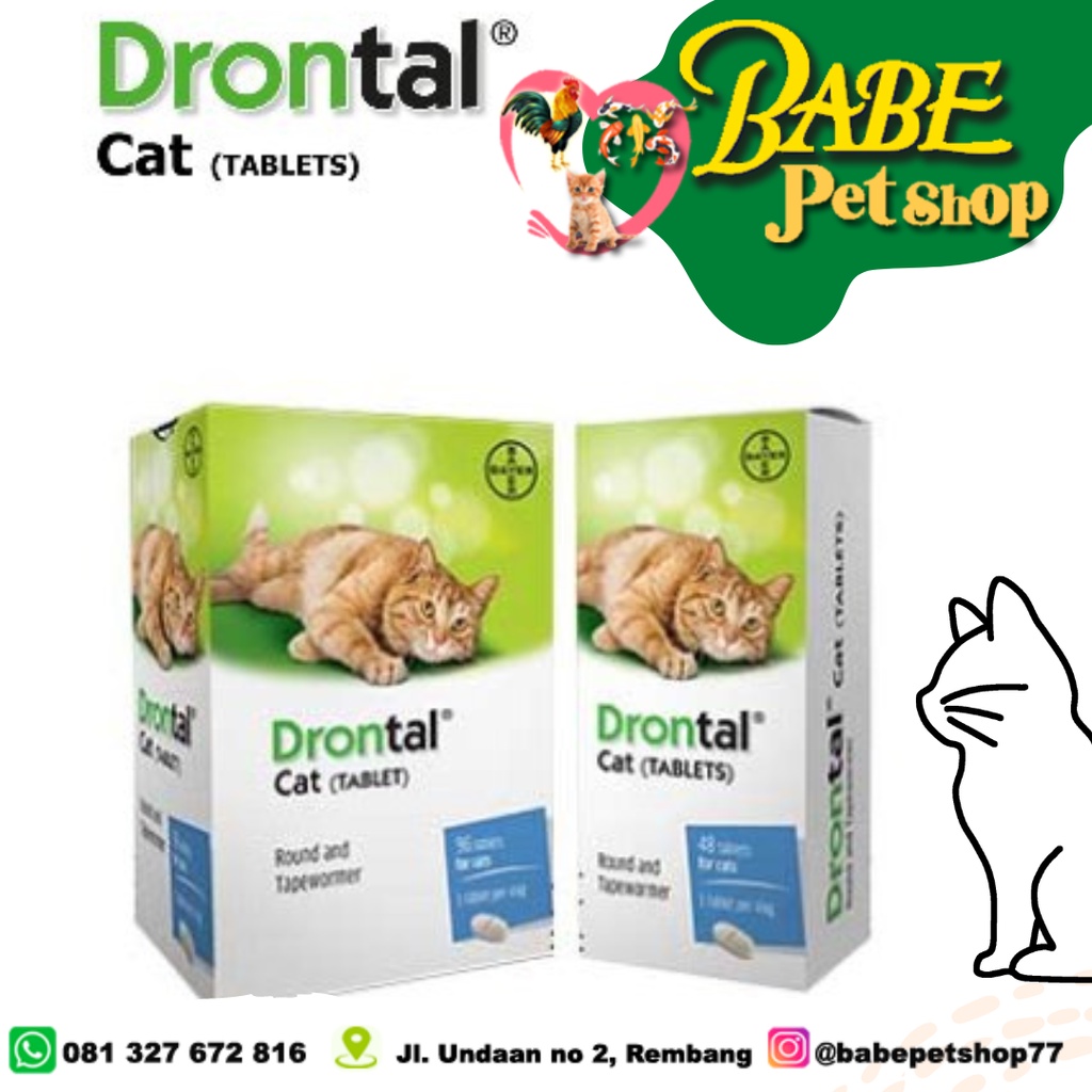 Drontal Cat