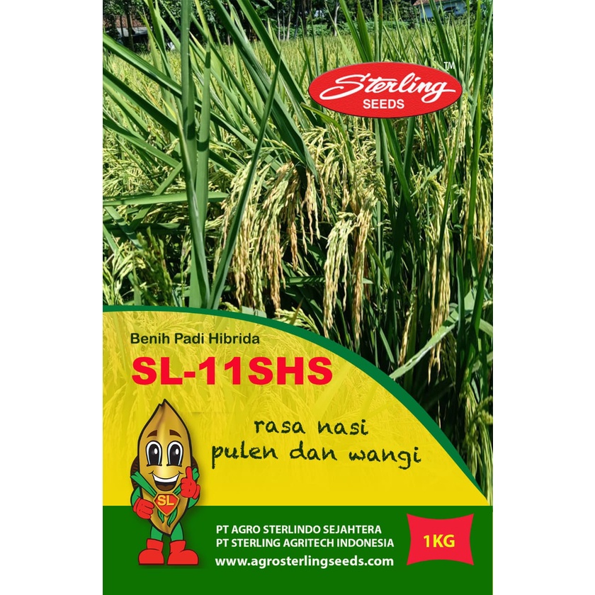 Benih Padi Hibrida Sterling SL-11SHS 1 kg