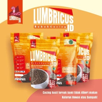 Ekstrak Cacing Tanah Bubuk Halus Cacing Lumbricus Rubeluss Cacing Kering 250 gr