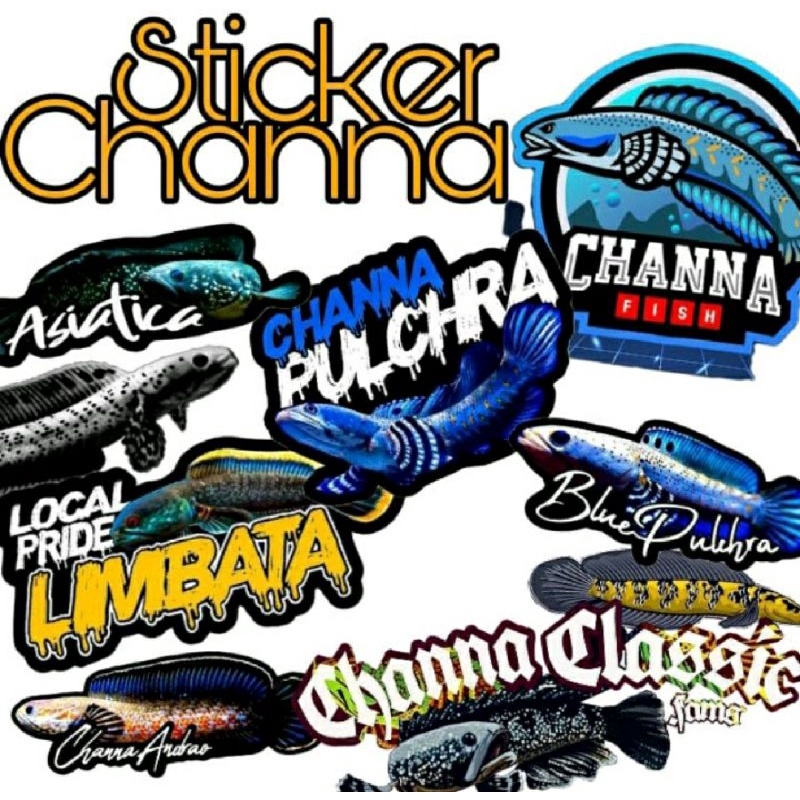 Stiker Channa 20pcs Stiker Aquarium Ikan Channa