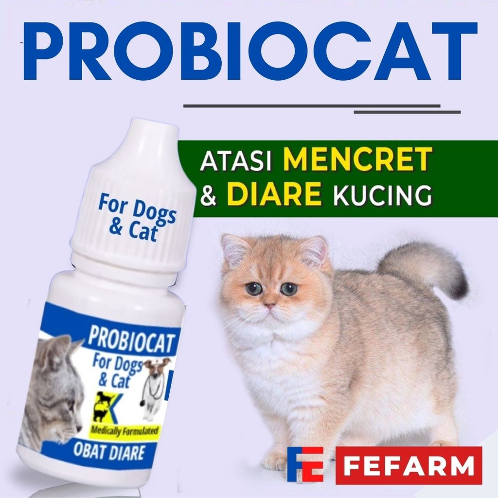 Obat Kucing Mencret Diare Gangguan Pencernaan Priobiocat Obat Diare Vitamin Pencernaan Anti Mencret