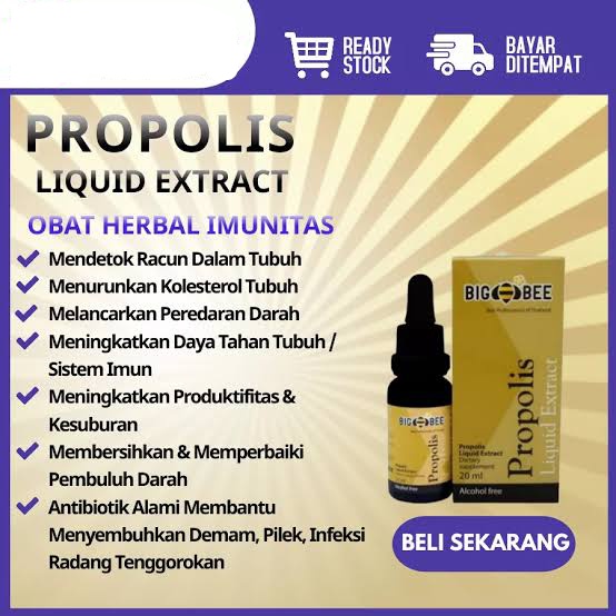 PROPOLIS BIG BEE THAILAND thepprasit 100% terjamin originalnya - Big Bee Asli Propolis Thailand Thep