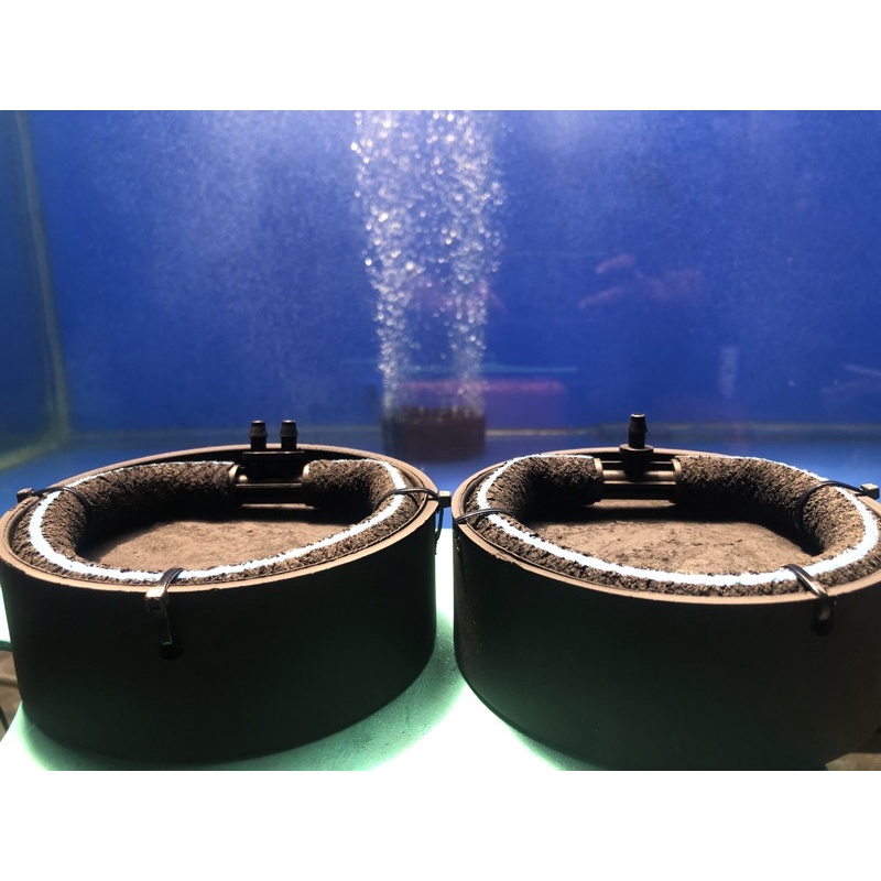 aerator uniring (bonus THAMAGO 100grm)