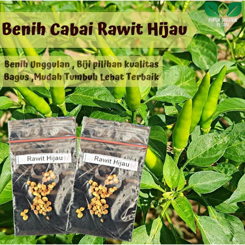 Benih cabai cabe rawit hijau biji pilihan mudah tumbuh subur benih cabe rawit berkualitas unggulan