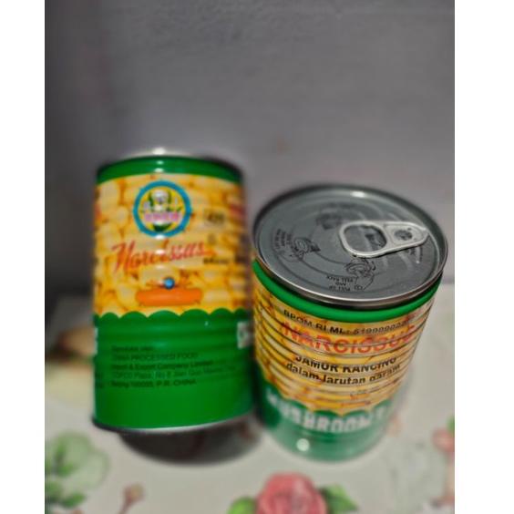 

㊟ Jamur kancing Narcissus/mushroom narcissus ➳