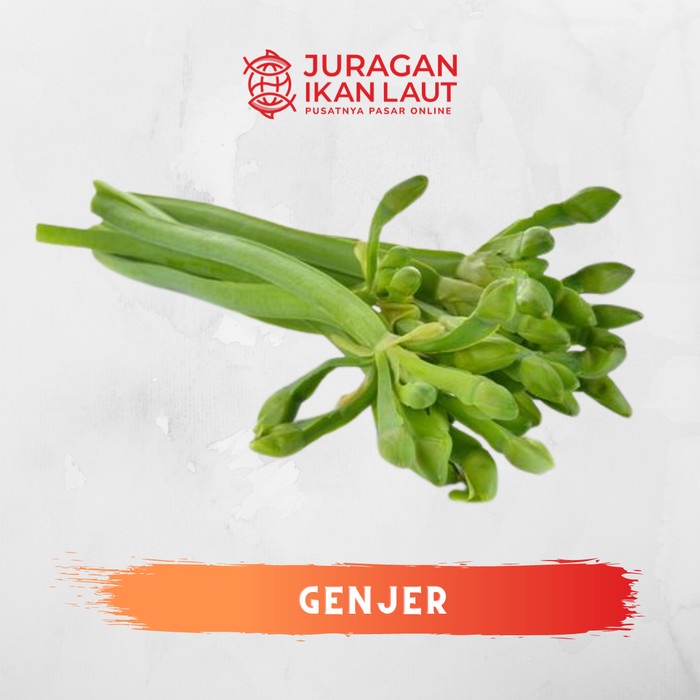 

Sayur Genjer Segar Fresh Berkualitas - 1 Ikat