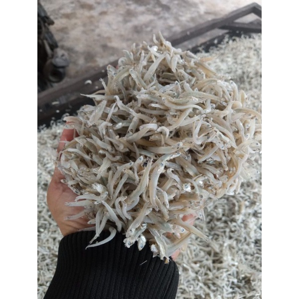 

Ikan Teri Super Toge