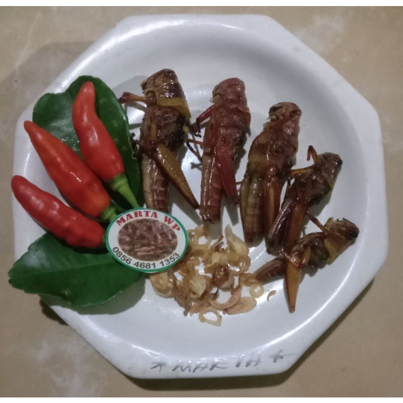 

Belalang goreng / WALANG KAYU / CEMILAN SULTAN