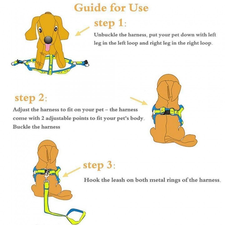 ROCKWARE Dog Leash Adjustable Harness Neck Collar Set Canvass Model