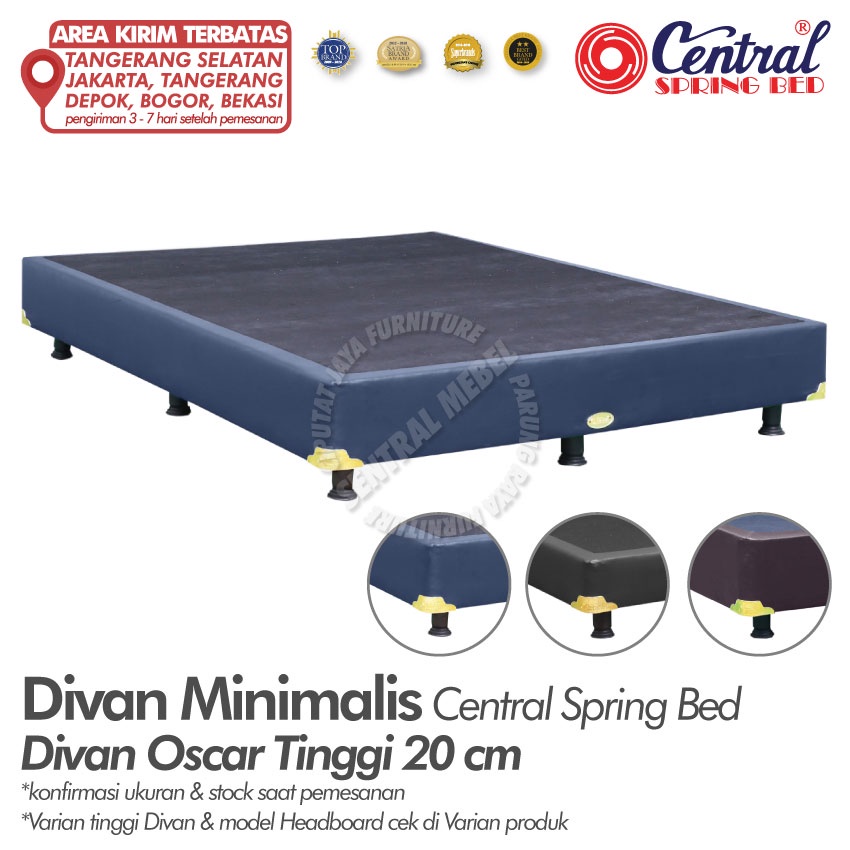 divan tempat tidur Central Springbed DT20 - divan sandaran