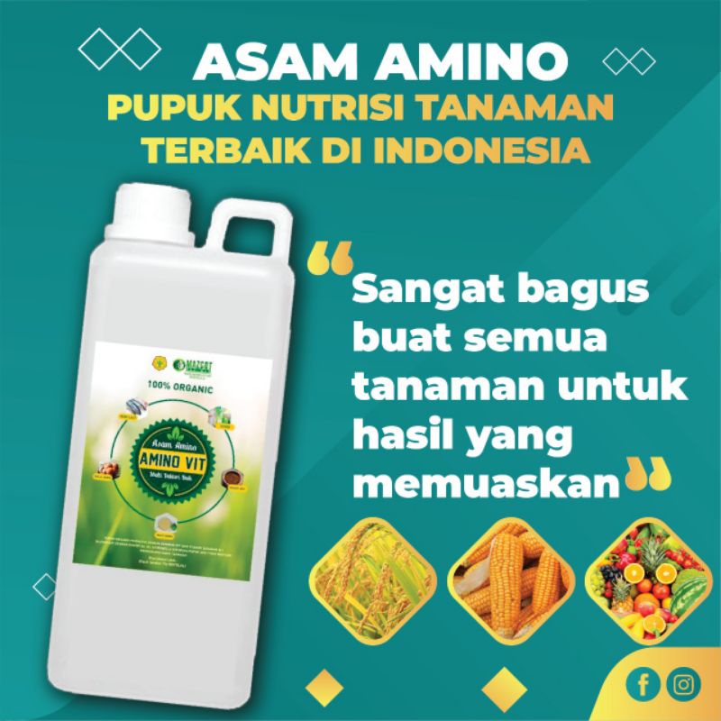 ALFAGREEN- Pupuk cair organik Asam amino plus humus Pemulihan Tanaman| Pupuk cair organik Asam amino
