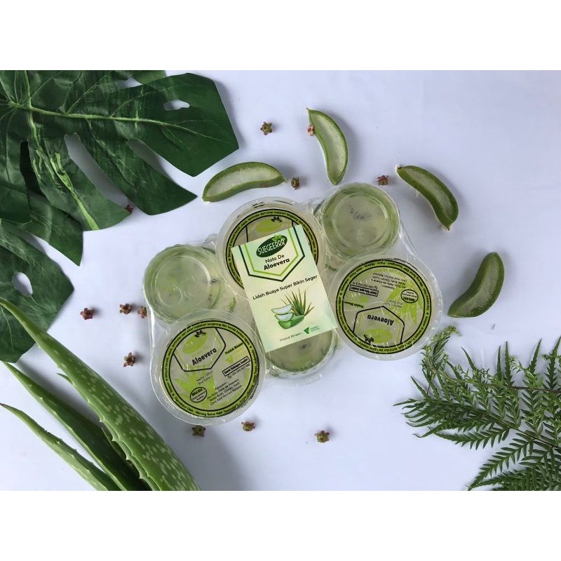

Nata de Aloevera Oleh-Oleh Malang