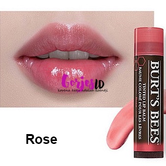 NEW Burt's Bees Tinted Lip Balm Rose original burt burts color colour warna oil