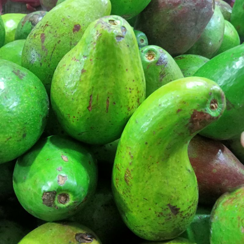 

alpukat lokal kualitas import 1 kg