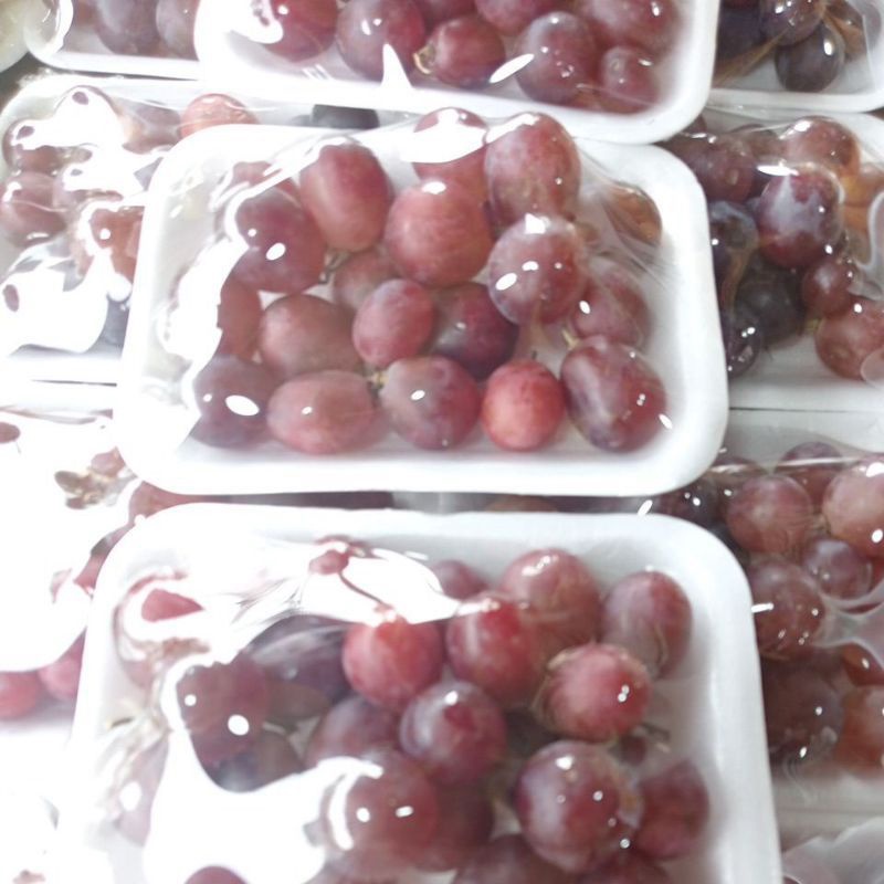 

buah anggur 1pak