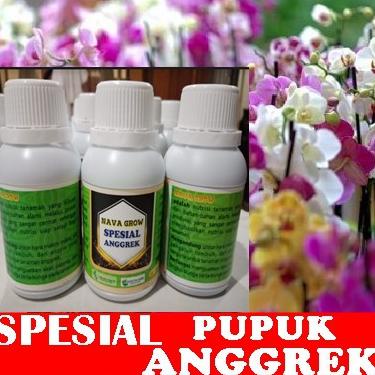 (Q-B8B(♥☞) Pupuk Anggrek Bulan terviral