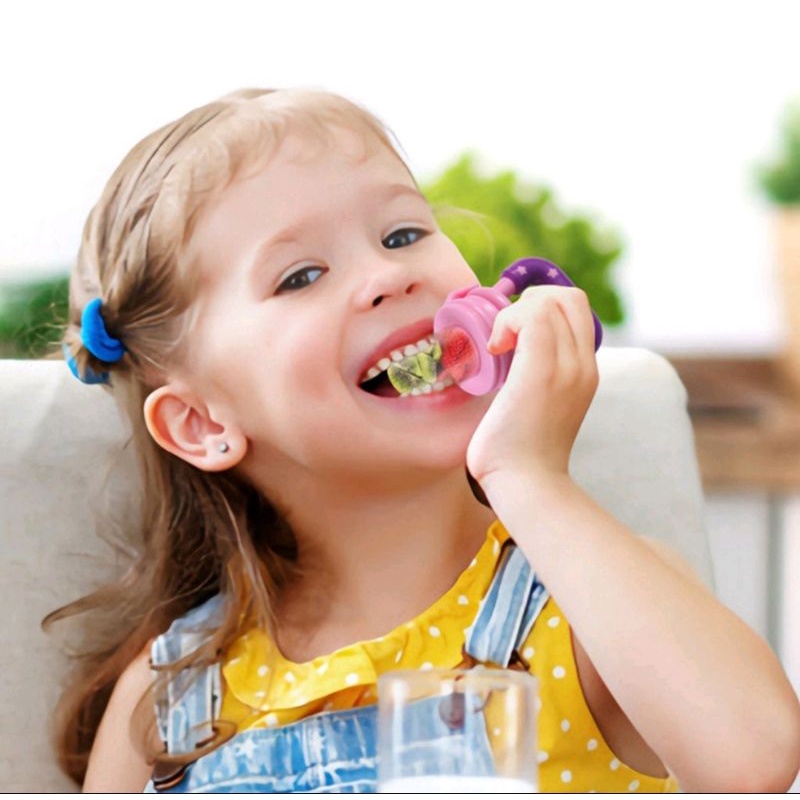 Empeng Buah Bayi Baby Fruit Food Feeder Dot Buah Bayi Gigitan Bayi Dodot Sari Buah Anak