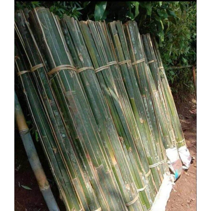 Bambu bilah 20 batang panjang 2 meter