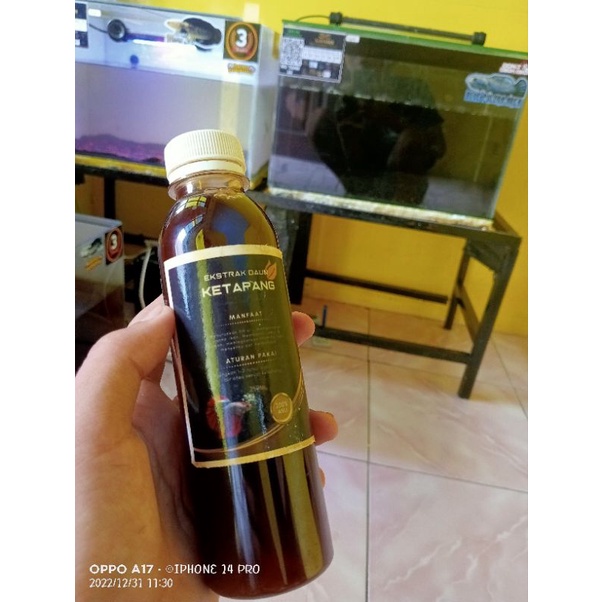 

Extrax Ketapang super Pekat