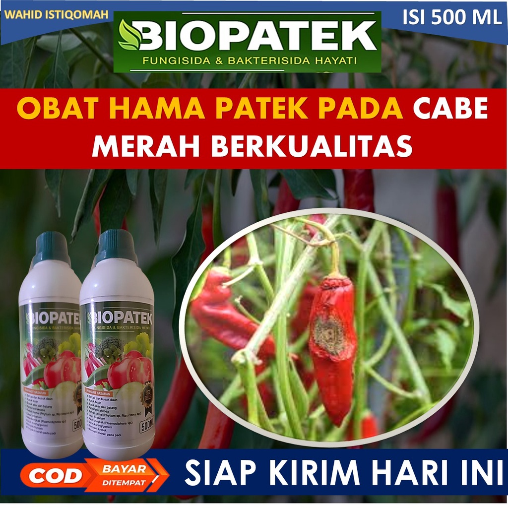 BIOPATEK 500ml Fungisida & Bakterisida Hayati Obat Mengatasi Hama Penyakit Bercak & Busuk  Cabe mera