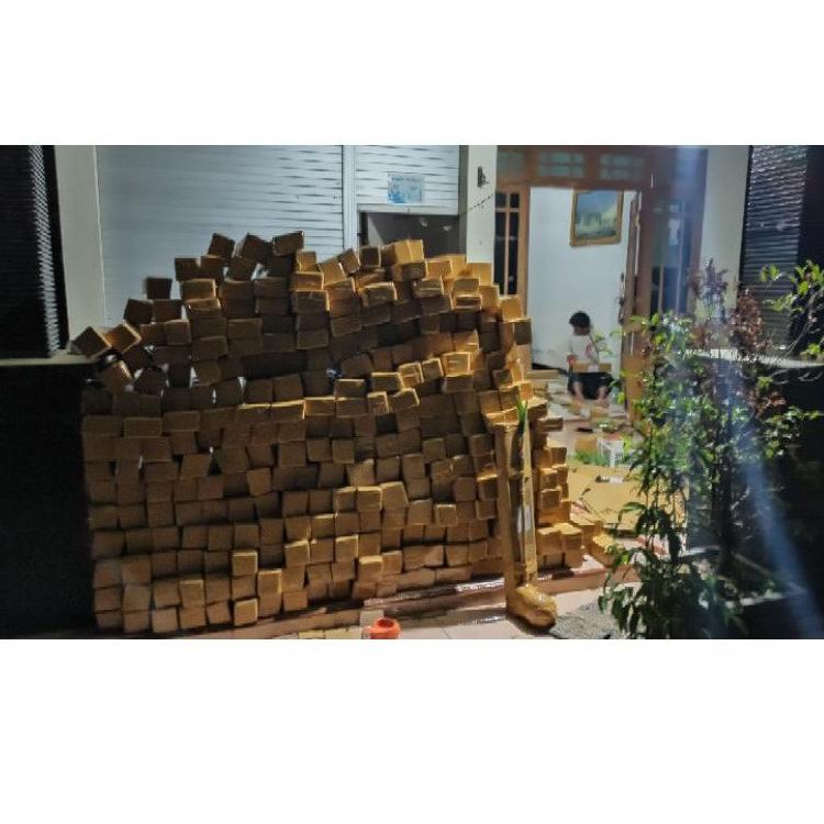 ︽ Bibit tanaman apel india apel putsa HOT ITEM 2696 ✯