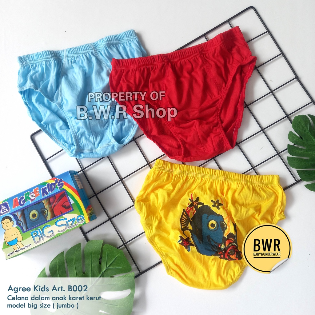 [ 3pc ] CD Agree Kids BIG SIZE B002 | Celana Dalam Anak 9 - 15 Tahun Jumbo Karet Kerut - Bwr