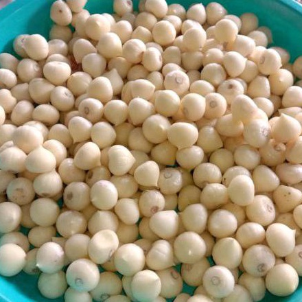 

bawang lanang kupas