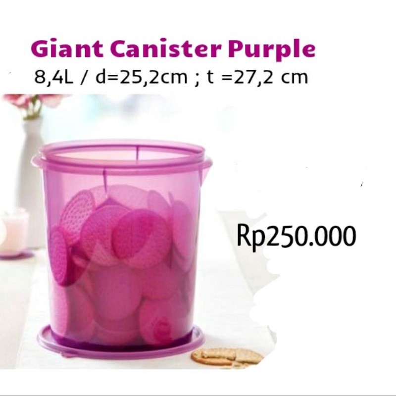 GIANT CANISTER TUPPERWARE