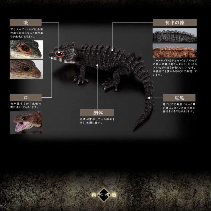 Premium Gashapon Red Eye Lizard Crocodile Skink Kadal Dangomushi Gacha Baru