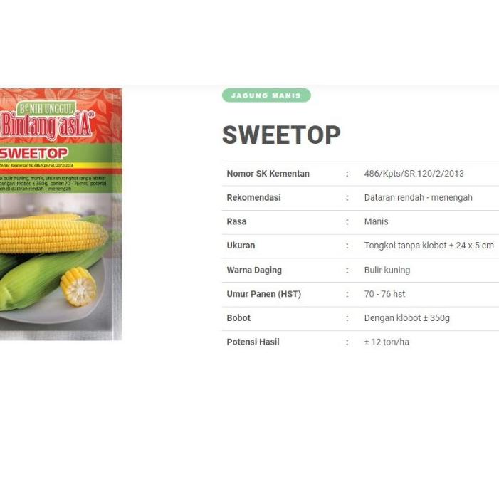 Sweetop (MANISE) 250gr Benih Jagung Manis isi -+ 1700 biji - Bintang Asia