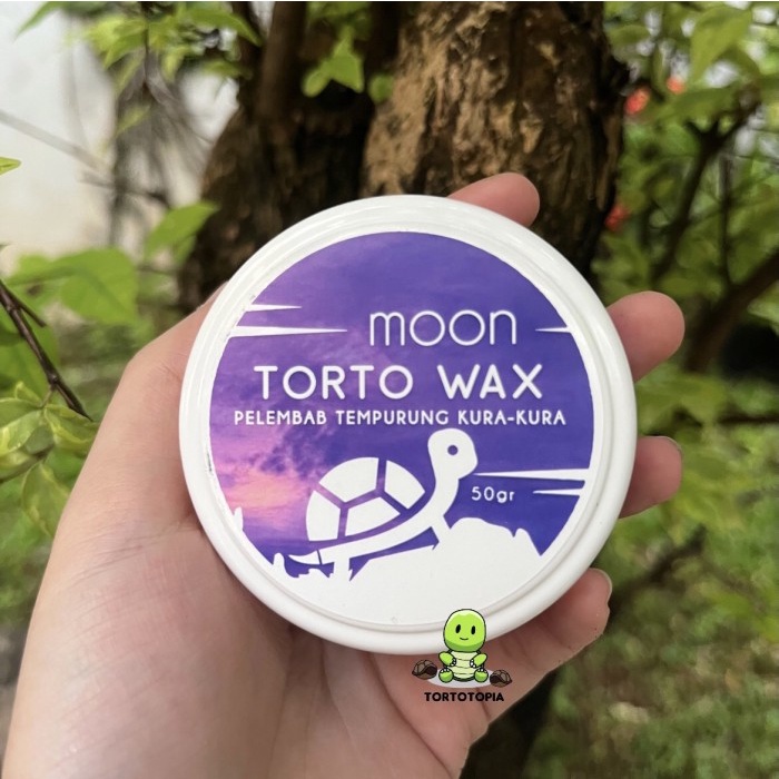 WAX PELEMBAB TEMPURUNG KURA TORTOISE SULCATA ALDABRA MOON WAX