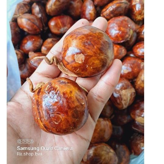 

Z-5E☎) Jengkol Tua/jengkol punel berat 500gram premium