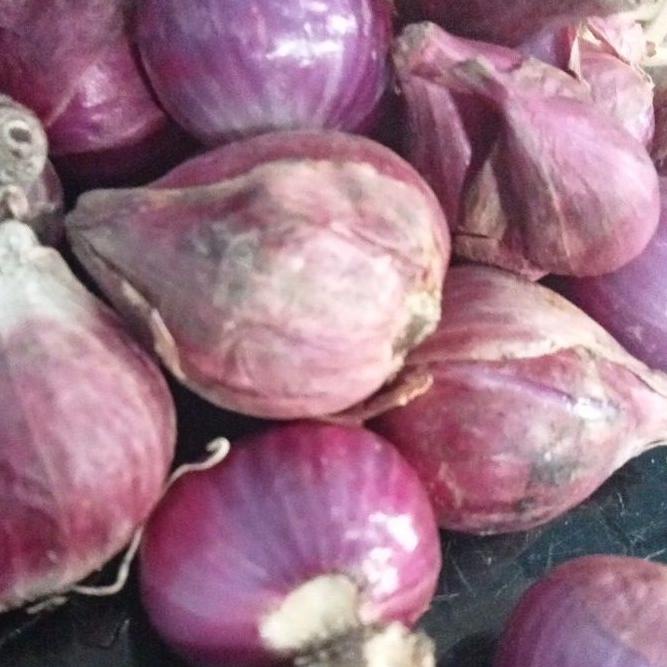 

Banyak Peminat BAWANG MERAH BREBES PILIHAN BESAR 1KG**