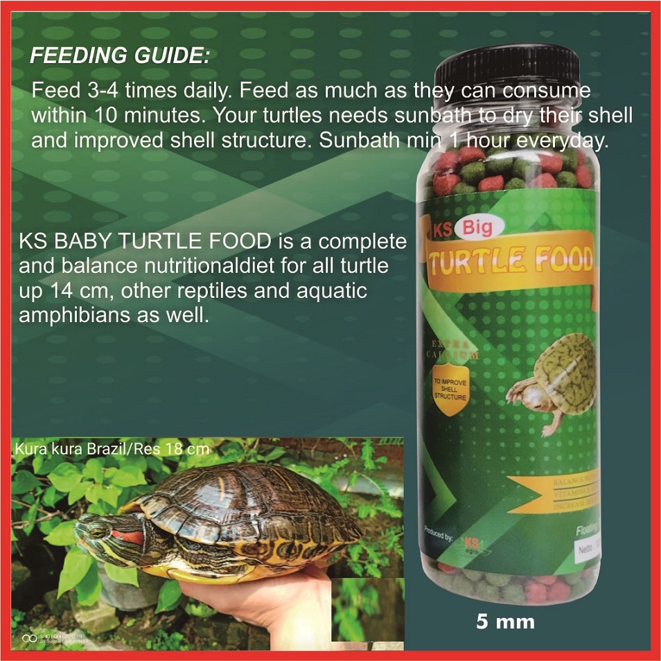 KS Big Turtle Food Pakan Kura Kura Brazil Pelet Pellet Reptil Katak Kodok Kadal Mix / Grenn Turtle Vit 120gr 1mm 2mm 5mm
