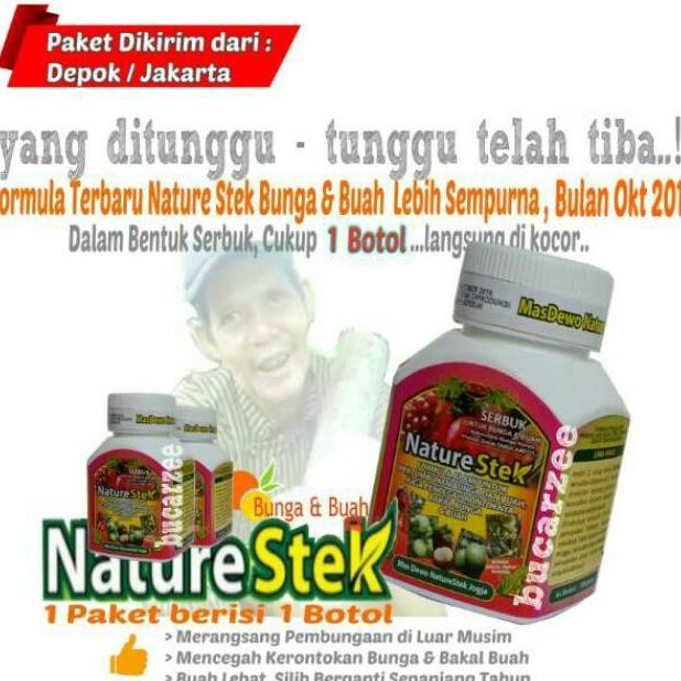 Nature Stek Bunga Dan Buah. Penemuan Baru . Panen Bunga Dan Buah Dari