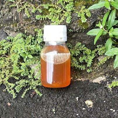 

Madu Bunga sonokeling 300g