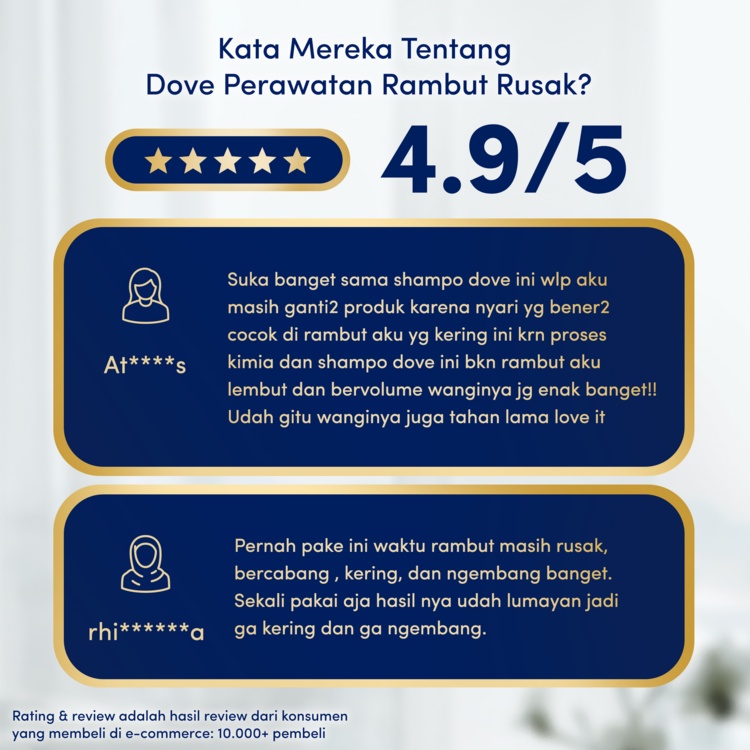 Dove Shampo Perawatan Rambut Rusak 290ml Twinpack