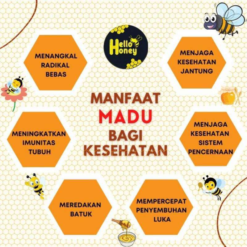 Hello honey Madu Asli Murni 1 KG Murah Madu manis