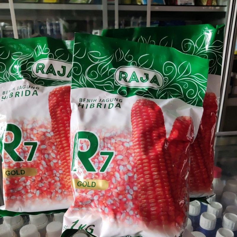 Benih Jagung Hibrida R7 Gold 1kg Bibit dari RAJA Restu Agropro Jayamas