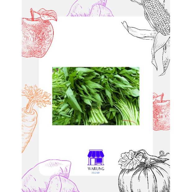 

KANGKUNG SEEGAR