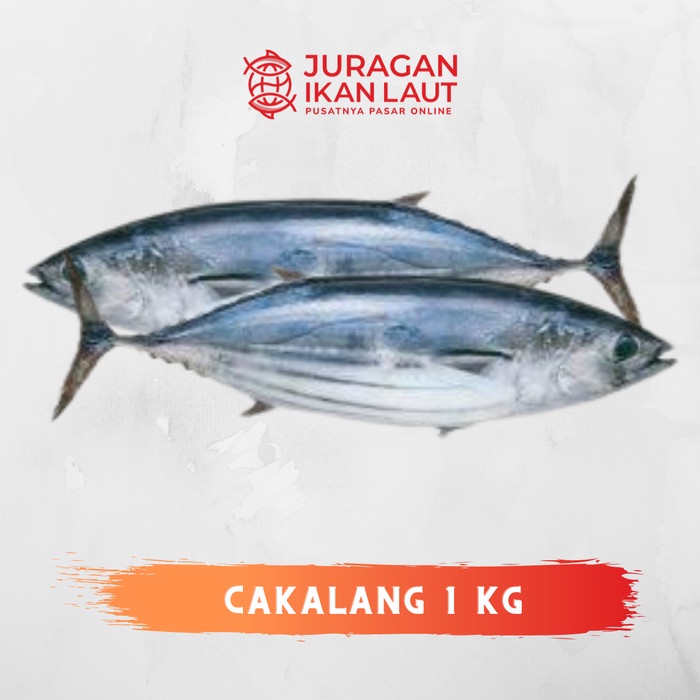 

Ikan Tongkol Cakalang Segar Fresh Berkualitas - 1 Kilogram