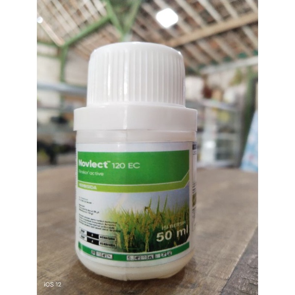 REPACT NOVLECT Kemasan Botol Biasa OBAT PEMBASMI RUMPUT BESAR PADA TANAMAN PADI AMPUH KEMASAN  50ML 