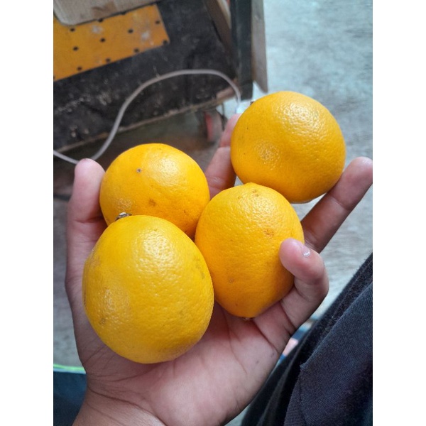 

Lemon Californja