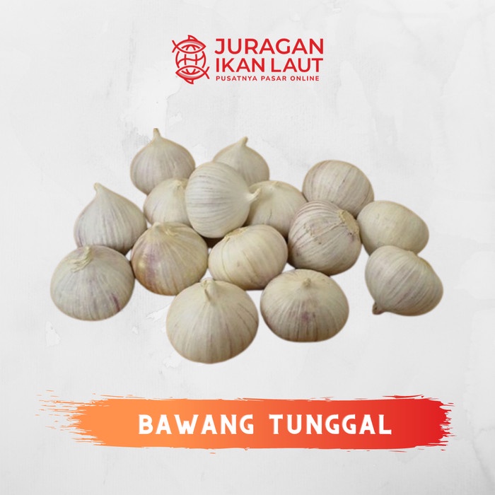 

Bawang Tunggal Berkualitas - 250 Gram