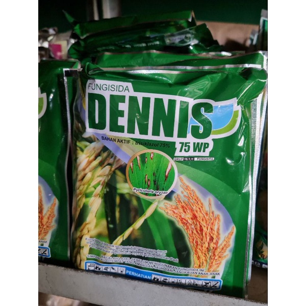 DENNIS 75 WP 100 GR