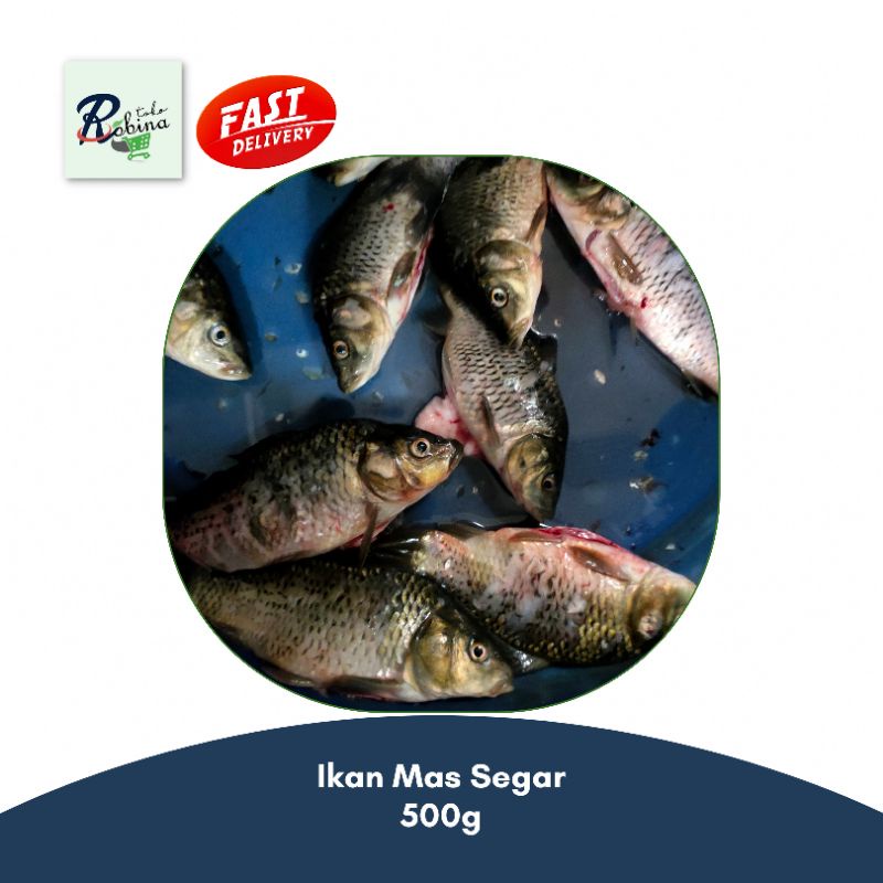 

Ikan Mas Segar - 500g